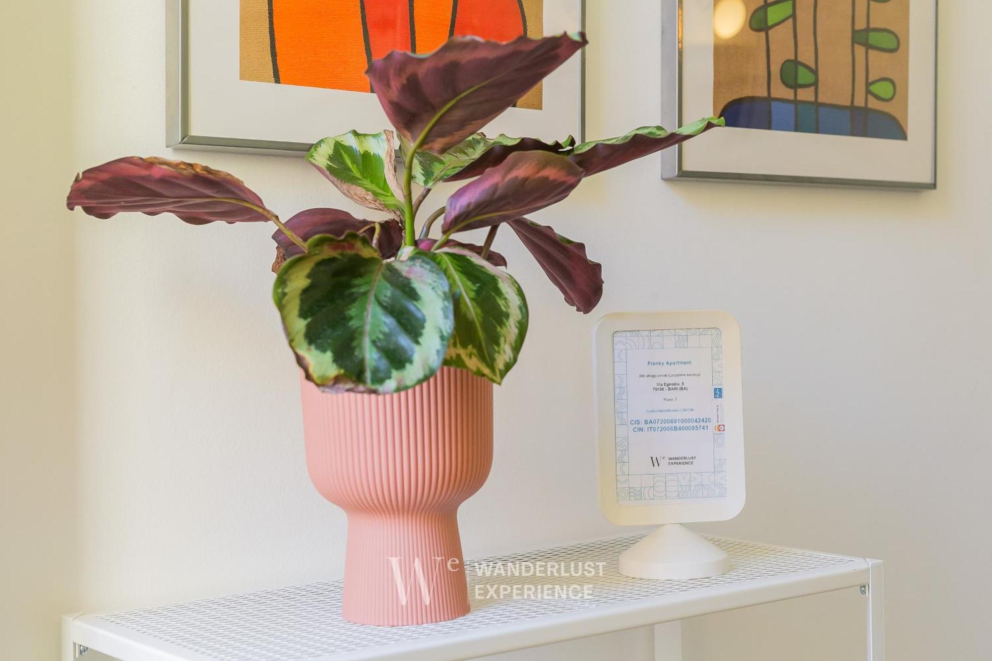 Wanderlust Experience Frankly Apartment Bari Esterno foto